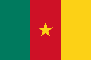 Cameroon flag