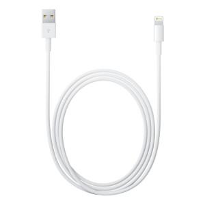 Apple USB (MD819ZM/A) Cable - Accessories, USB-C to Lightning