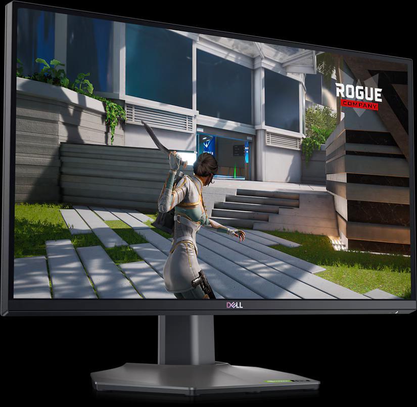 DELL G2524H Gaming Monitor - 24 inch FHD (1920x1080), IPS