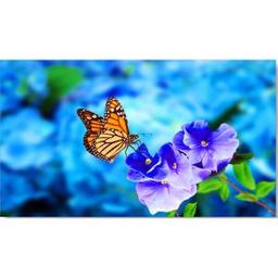 Sharp UN552VS Ultra-Narrow Bezel Display