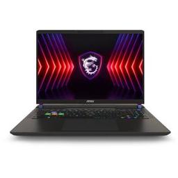 MSI VECTOR 16 HX A141VIG (2024) Gaming Laptop