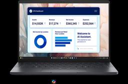 DELL PRO PREMIUM PA13250 (2025) Laptop