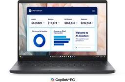 DELL PRO PREMIUM PA13250 (2025) Laptop