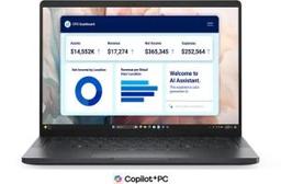 DELL PRO PREMIUM PA13250 (2025) Laptop