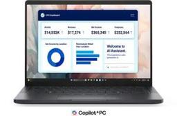 DELL PRO PREMIUM PA13250 (2025) Laptop