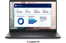 DELL PRO PREMIUM PA13250 (2025) Laptop