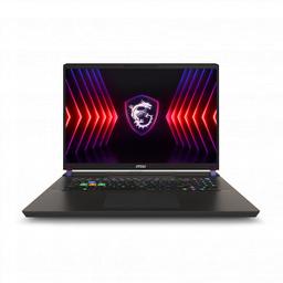 MSI VECTOR 17 HX A14VGG-219US (2024) Gaming Laptop